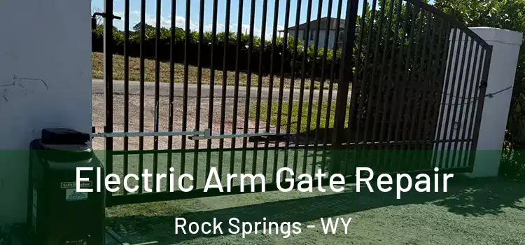 Electric Arm Gate Repair Rock Springs - WY